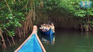 Ciénaga La Caimanera